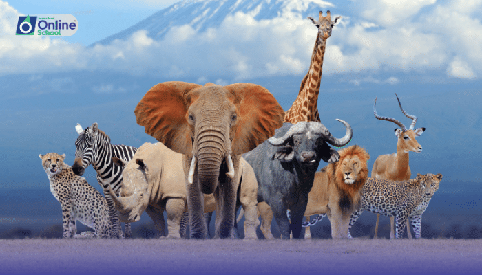 Lesson 01: General Characteristics of Animals